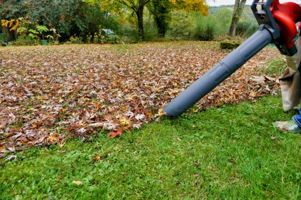Cost of Leaf Vacuuming Service in Draper