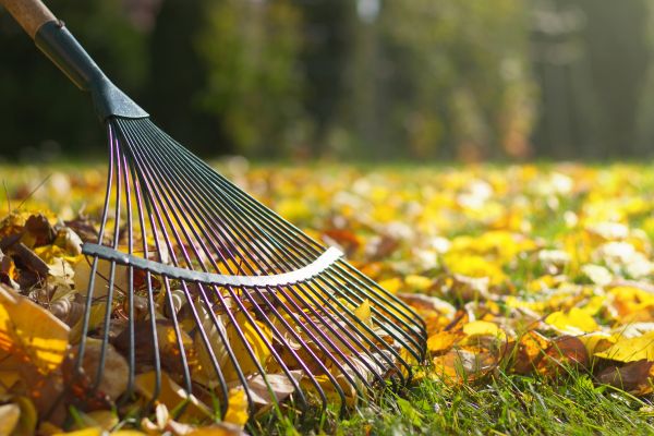 Cost of Leaf Raking Service in Draper