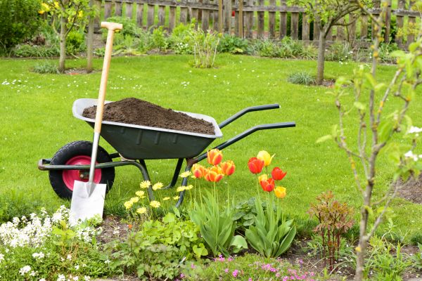 Cost of Spring Yard Cleanup in Draper