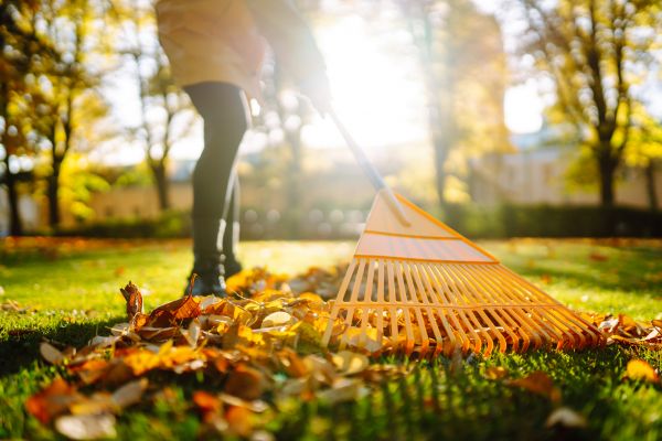 Cost of Leaves Raking in Draper