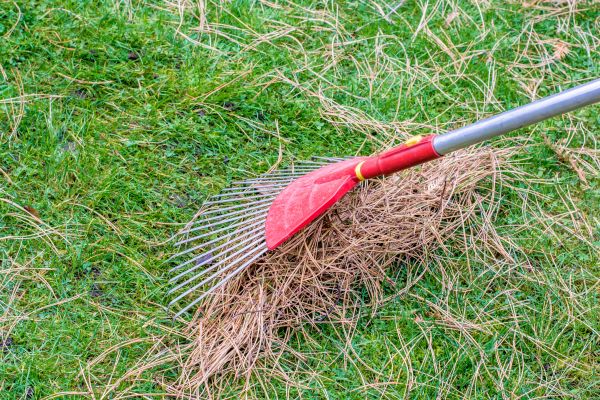 Cost of Yard Raking in Draper