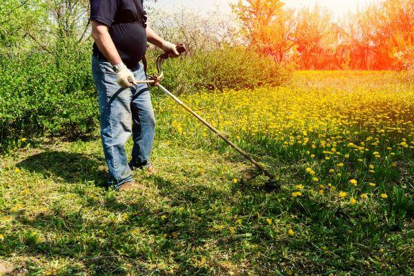 Cost of Yard Clearing Service in Draper